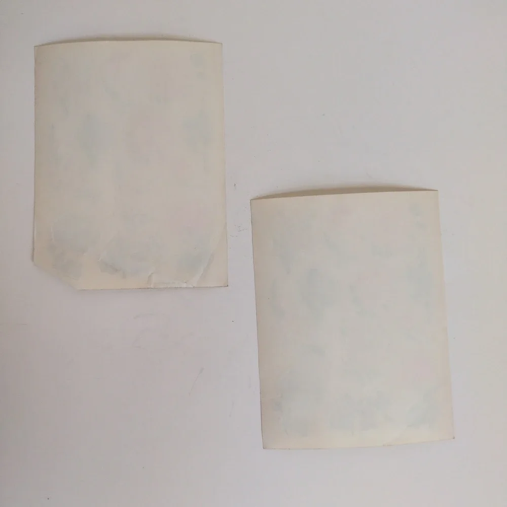 Vintage 80s Hallmark Flower‎ Sticker Sheets (2) - Iris, Peony, Hydrangea, Tulip
